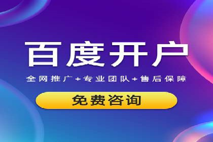 SEM托管实战：某电商平台的成功经验